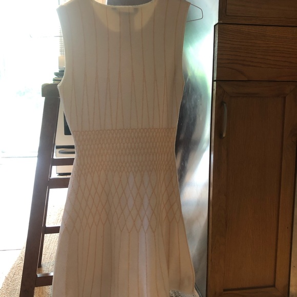 BCBGMaxAzria Classy Curvy White Dress - Picture 3 of 6